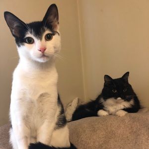 Meet your Posher, Andrea